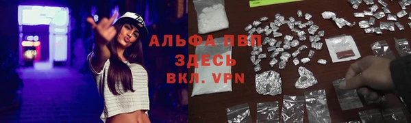дмт Алексин