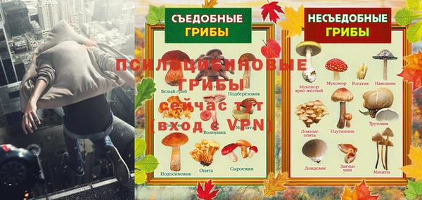MDMA Premium VHQ Алзамай